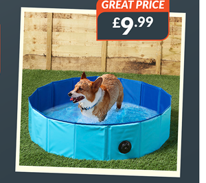 Doggy Pool. great price - £9.99