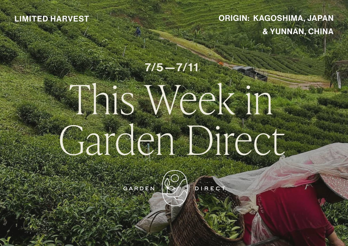 This Week in Garden Direct