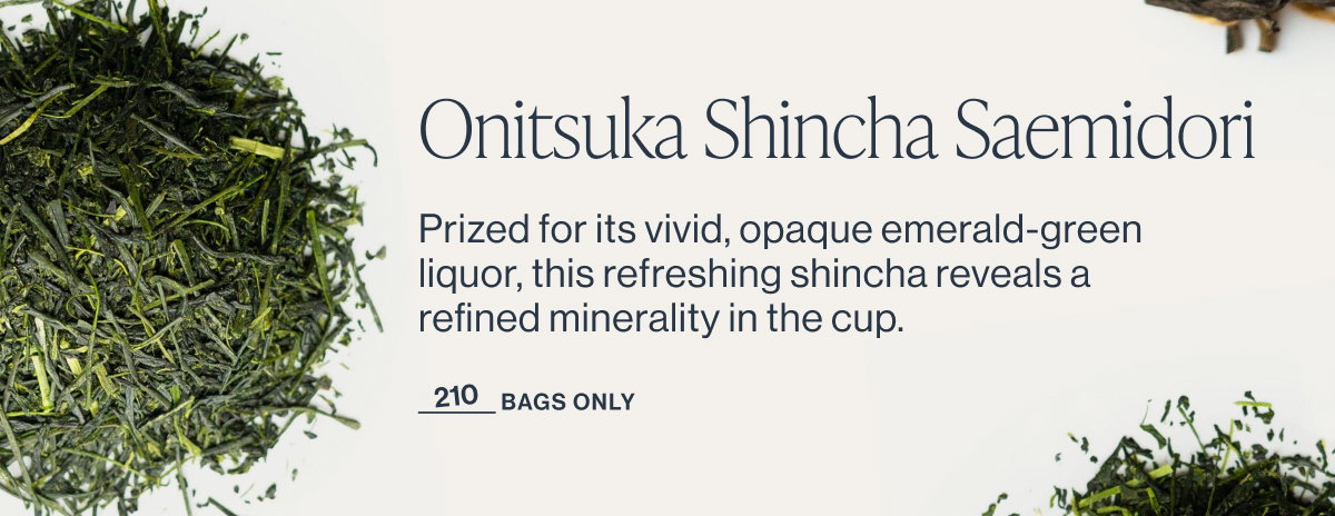 Onitsuka Shincha Saemidori