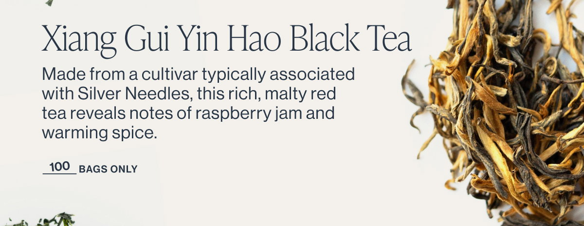 Xiang Gui Yin Hao Black Tea