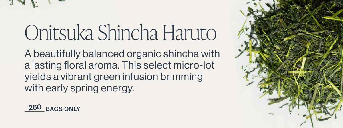 Onitsuka Shincha Haruto
