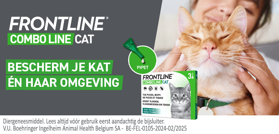 Frontline Combo Line cat flea treatment box and pipette beside a content ginger cat being petted