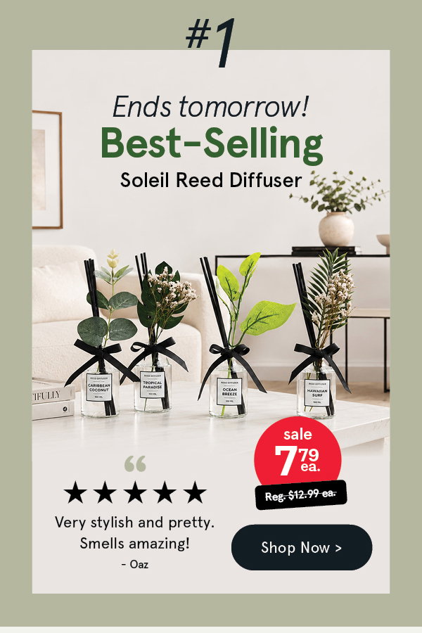 Soleil 'Ocean Breeze' Reed Diffuser