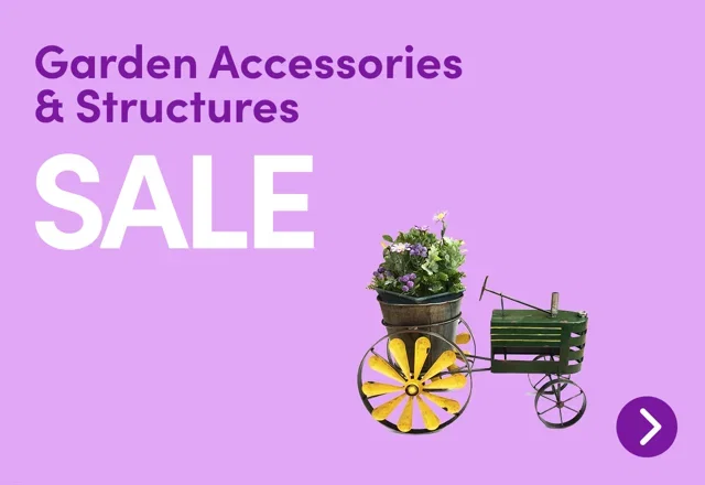 Garden Accessories & Structures