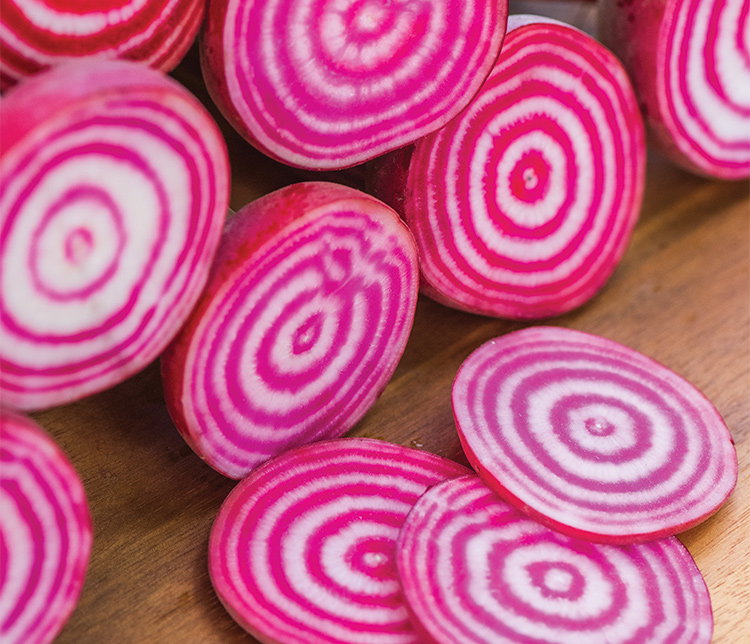 Chioggia Beet Seeds