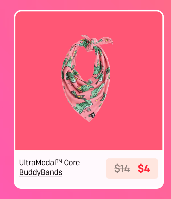 Buddy Bands