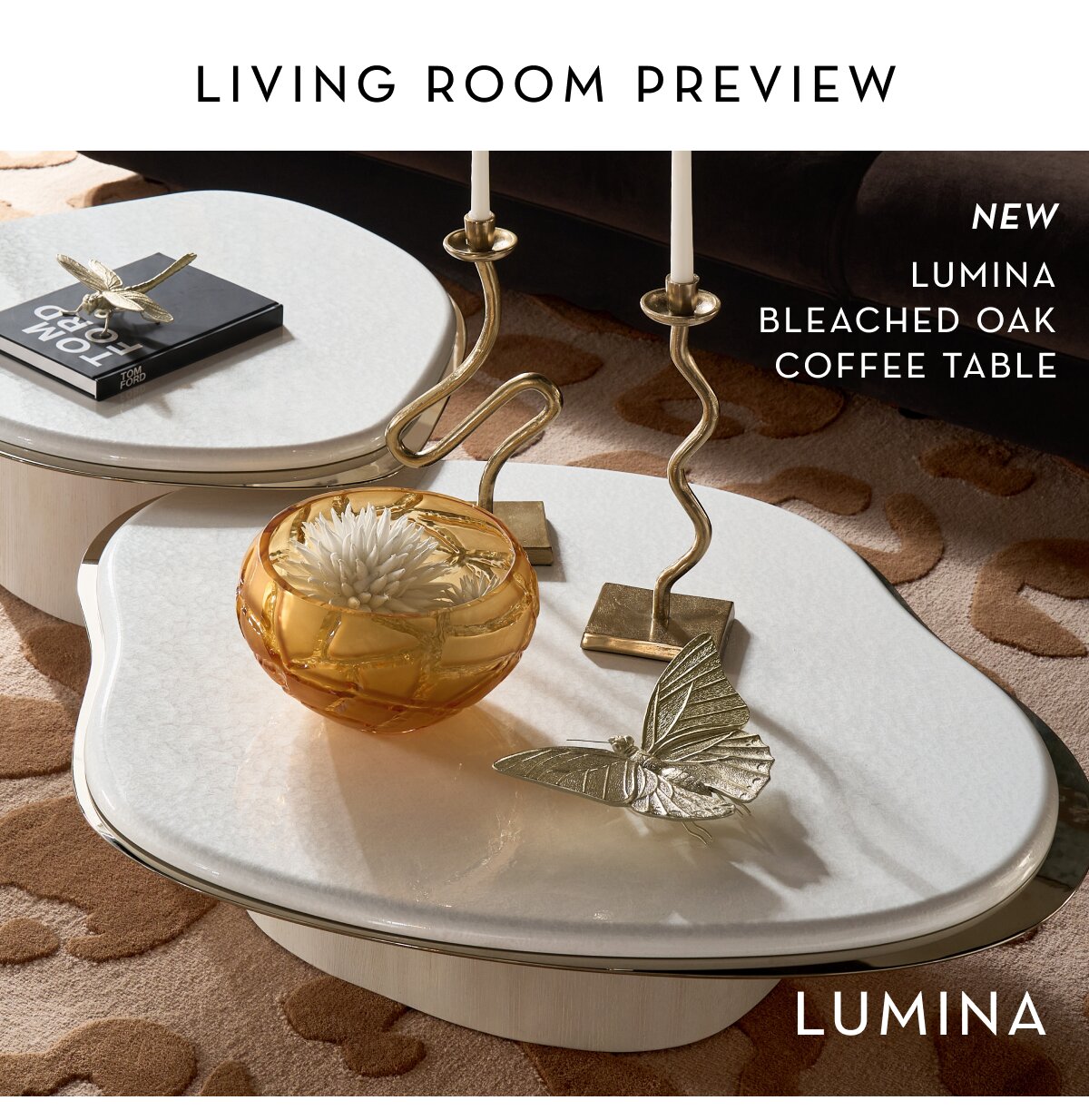 Shop Lumina