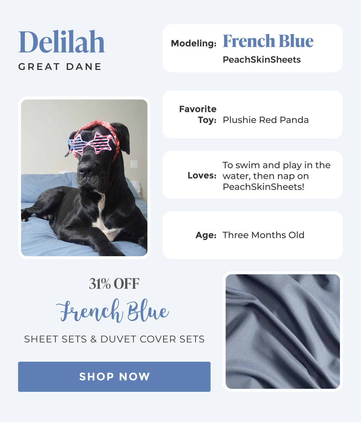 Shop SHEET SETS & DUVET COVER SETS 31% OFF French Blue