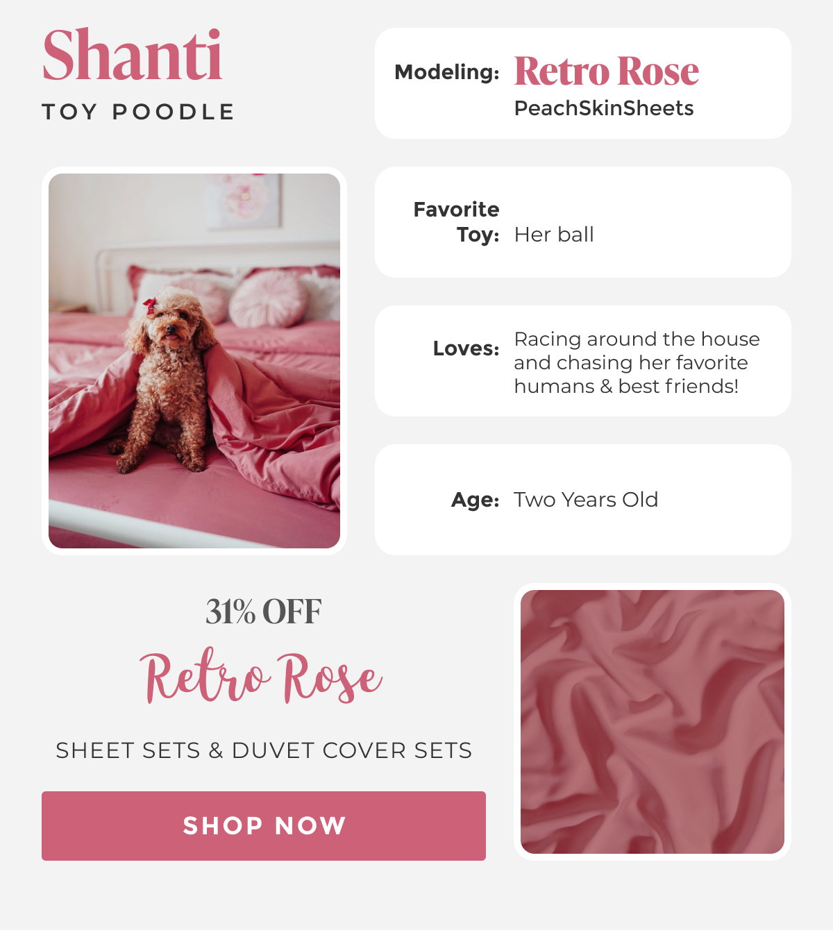 Shop SHEET SETS & DUVET COVER SETS 31% OFF Retro Rose