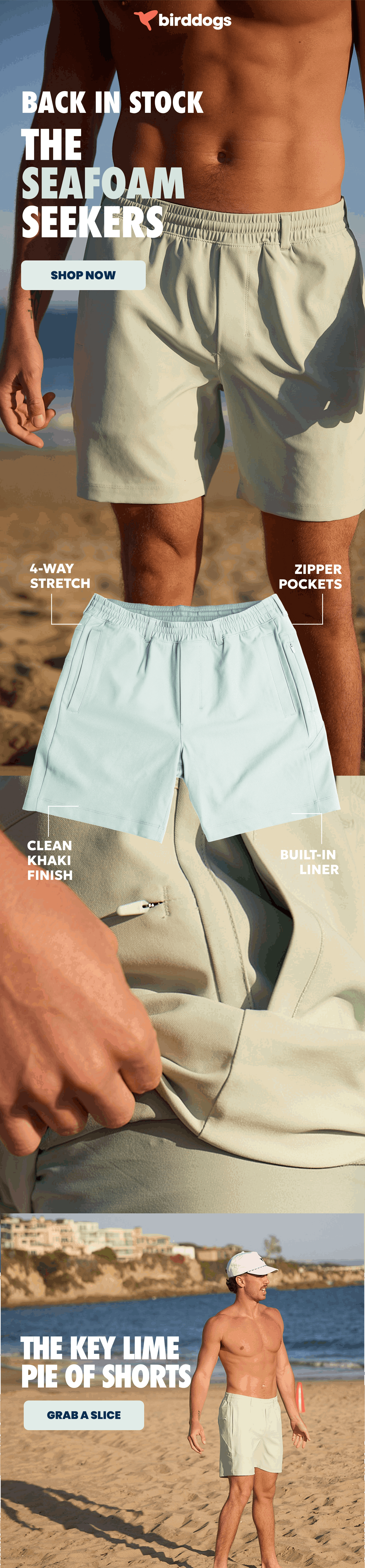New Khaki Shorts