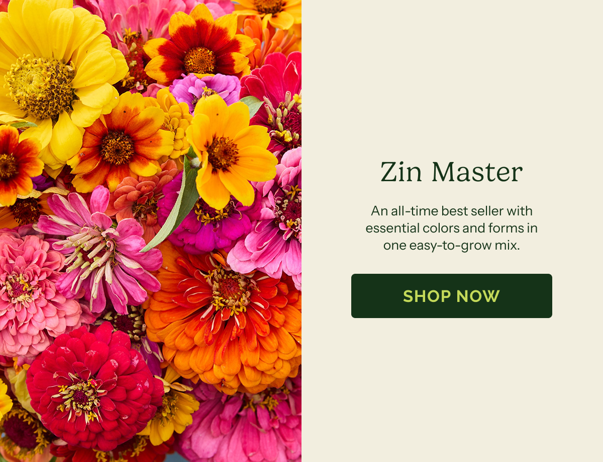 Zin Master – An all-time best seller with essential colors and forms in one easy-to-grow mix. SHOP NOW