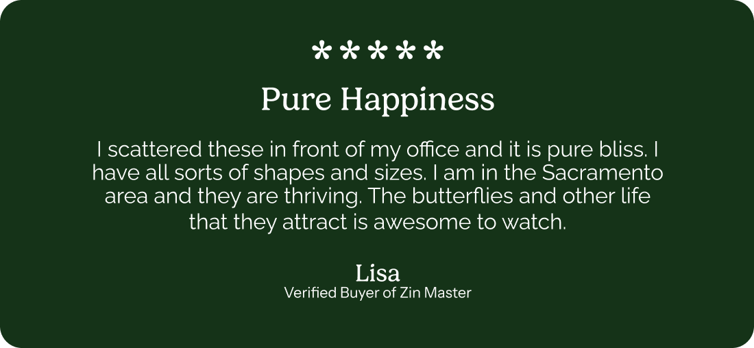 5 star review: Pure Happiness – I scattered these in front of my office and it is pure bliss. I have all sorts of shapes and sizes. I am in the Sacramento area and they are thriving. The butterflies and other life that they attract is awesome to watch. Lisa – Verified Buyer of Zin Master