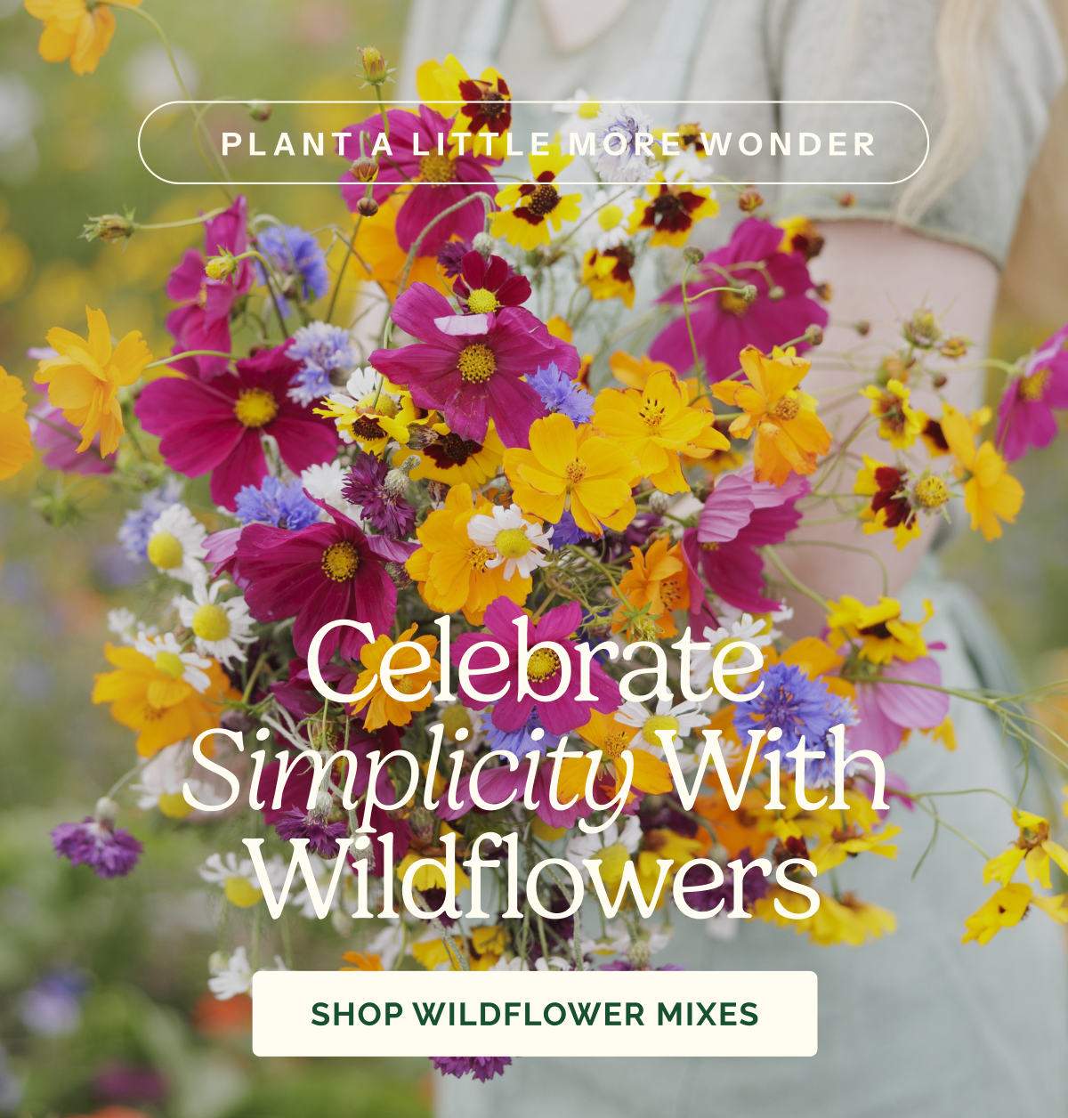 Celebrate Simplicity With Wildflowers – Plant a little more wonder – SHOP WILDFLOWER MIXES