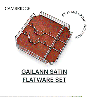 GAILANN SATIN FLATWARE SET