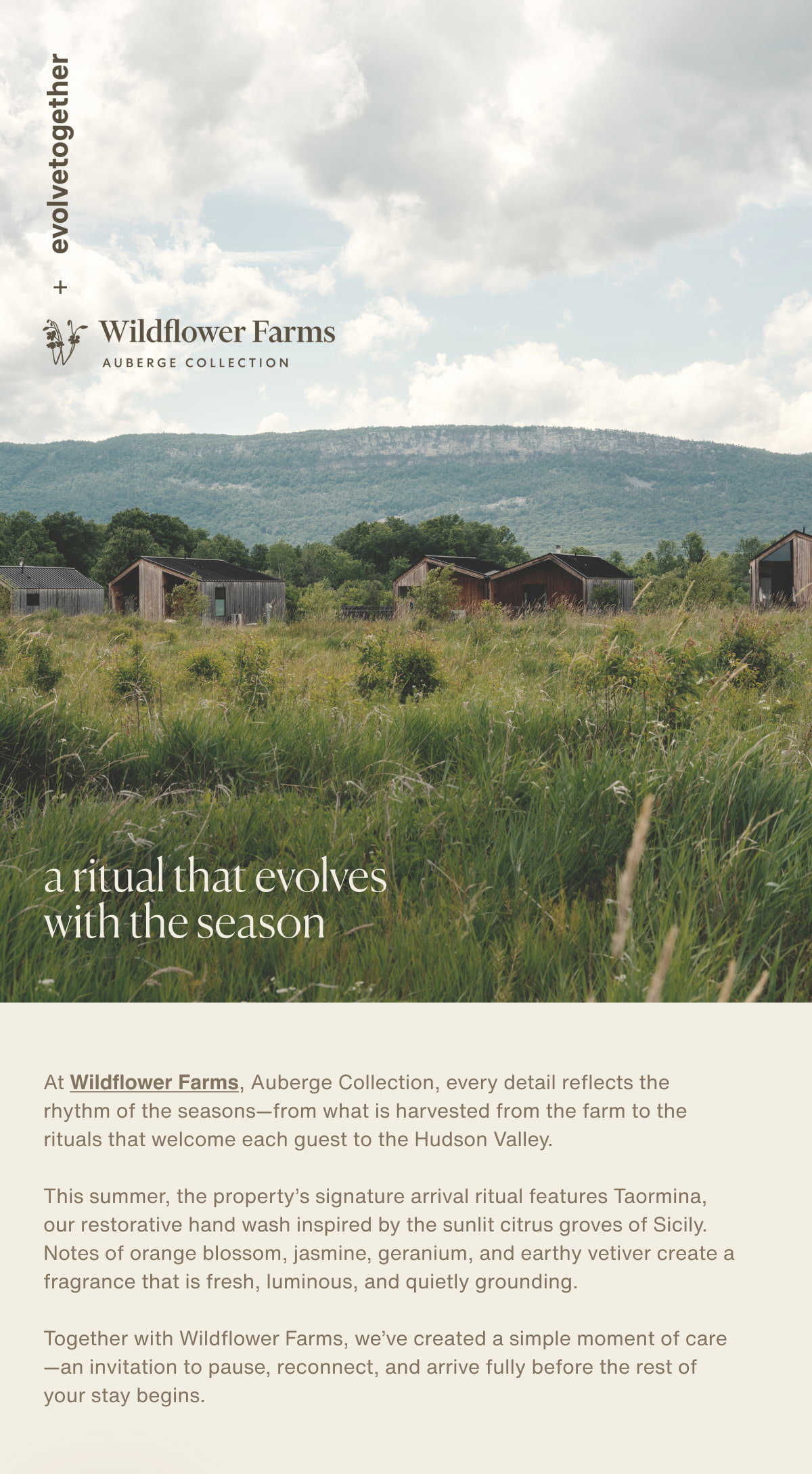 evolvetogether + Wildflower Farms | At Wildflower Farms, Auberge Collection, every detail reflects the rhythm of the seasons—from what is harvested from the farm to the rituals that welcome each guest to the Hudson Valley.  This summer, the property’s signature arrival ritual features Taormina, our restorative hand wash inspired by the sunlit citrus groves of Sicily. Notes of orange blossom, jasmine, geranium, and earthy vetiver create a fragrance that is fresh, luminous, and quietly grounding.  Together with Wildflower Farms, we’ve created a simple moment of care—an invitation to pause, reconnect, and arrive fully before the rest of your stay begins.