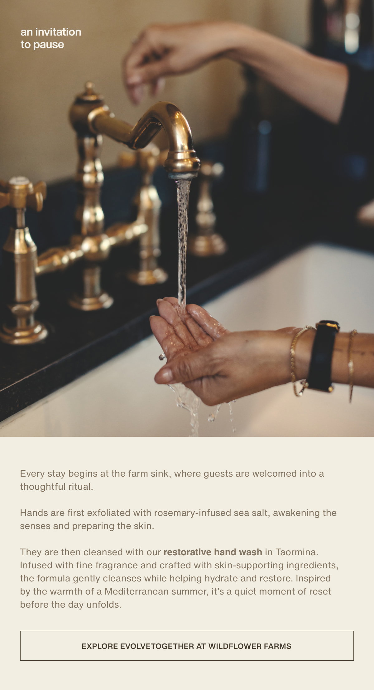 an invitation to pause | Every stay begins at the farm sink, where guests are welcomed into a thoughtful ritual.  Hands are first exfoliated with rosemary-infused sea salt, awakening the senses and preparing the skin.  They are then cleansed with our restorative hand wash in Taormina. Infused with fine fragrance and crafted with skin-supporting ingredients, the formula gently cleanses while helping hydrate and restore. Inspired by the warmth of a Mediterranean summer, it’s a quiet moment of reset before the day unfolds. | [ explore evolvetogether at wildflower farms ]
