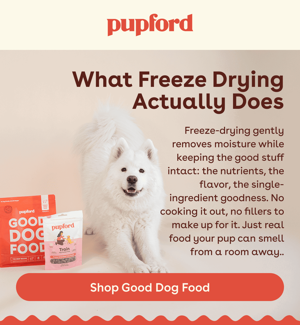 Shop good dog food 
