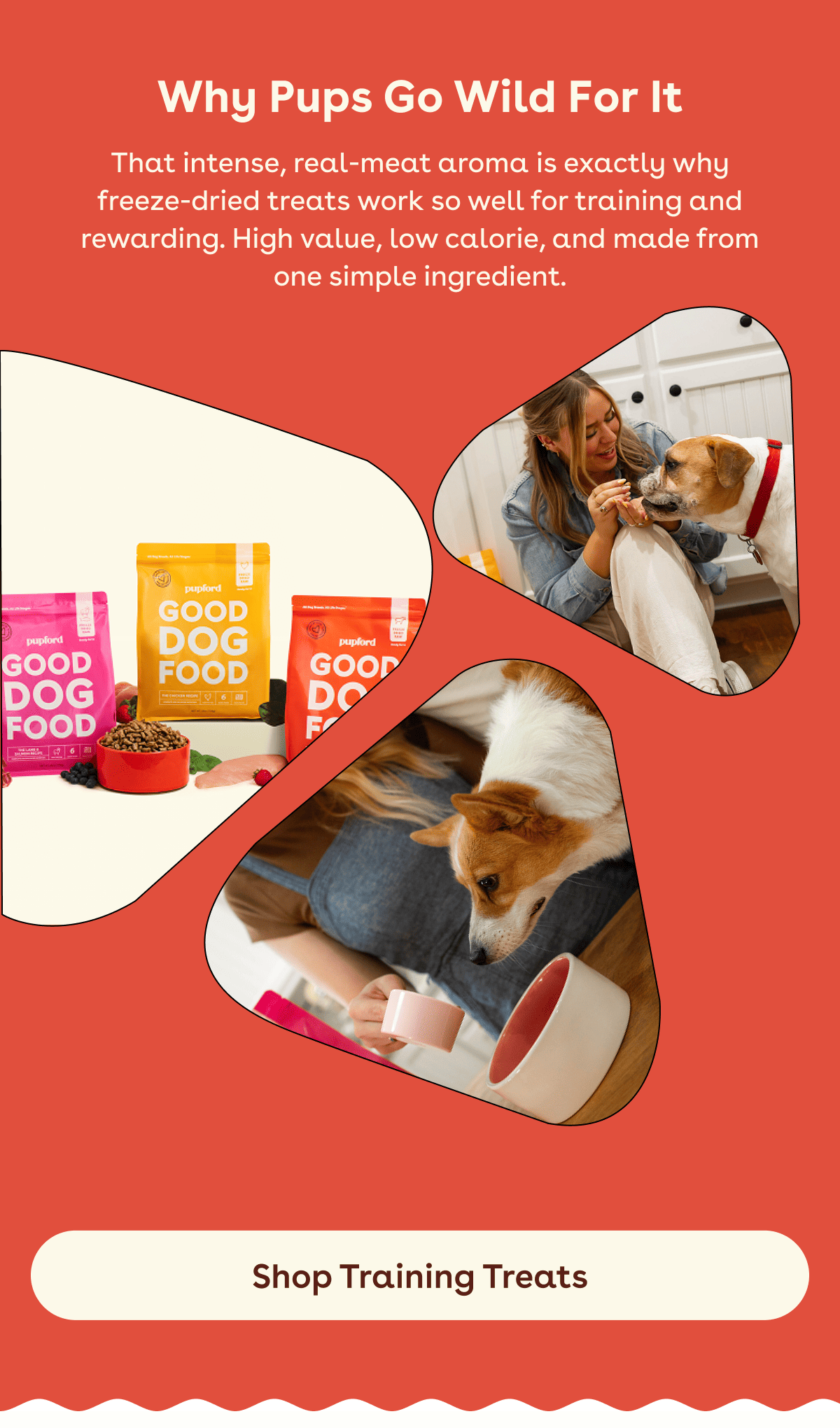 Shop training treats 