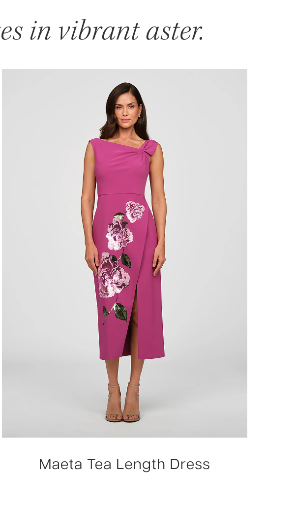 Maeta Tea Length Dress 