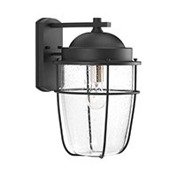 Flatts 1 Light 16 inch Black Outdoor Wall Lantern by TrulyCoastal