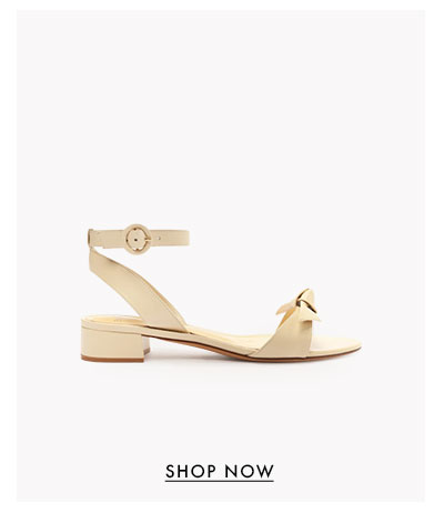 SUMMER ESSENTIALS | SHOP NOW