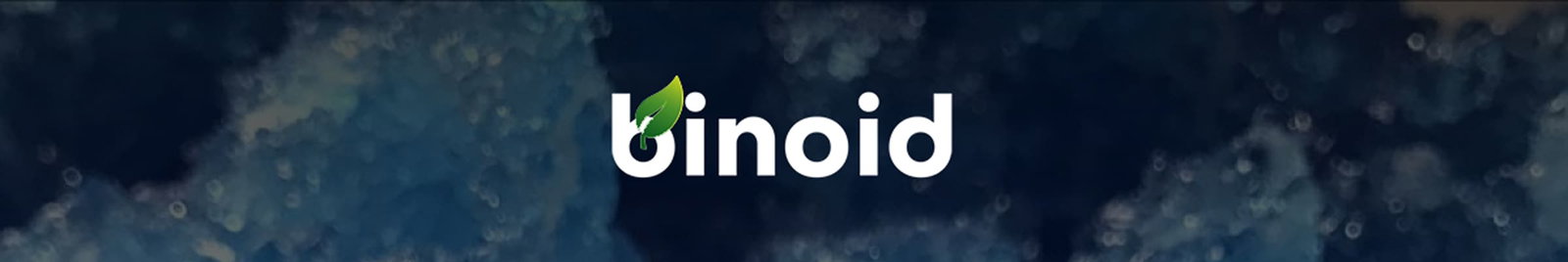 binoid