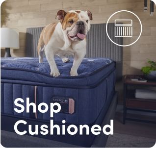 Shop by mattress feature: mattresses with cushion.