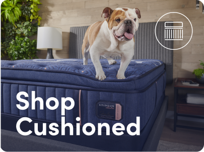 Shop by mattress feature: mattresses with cushion.