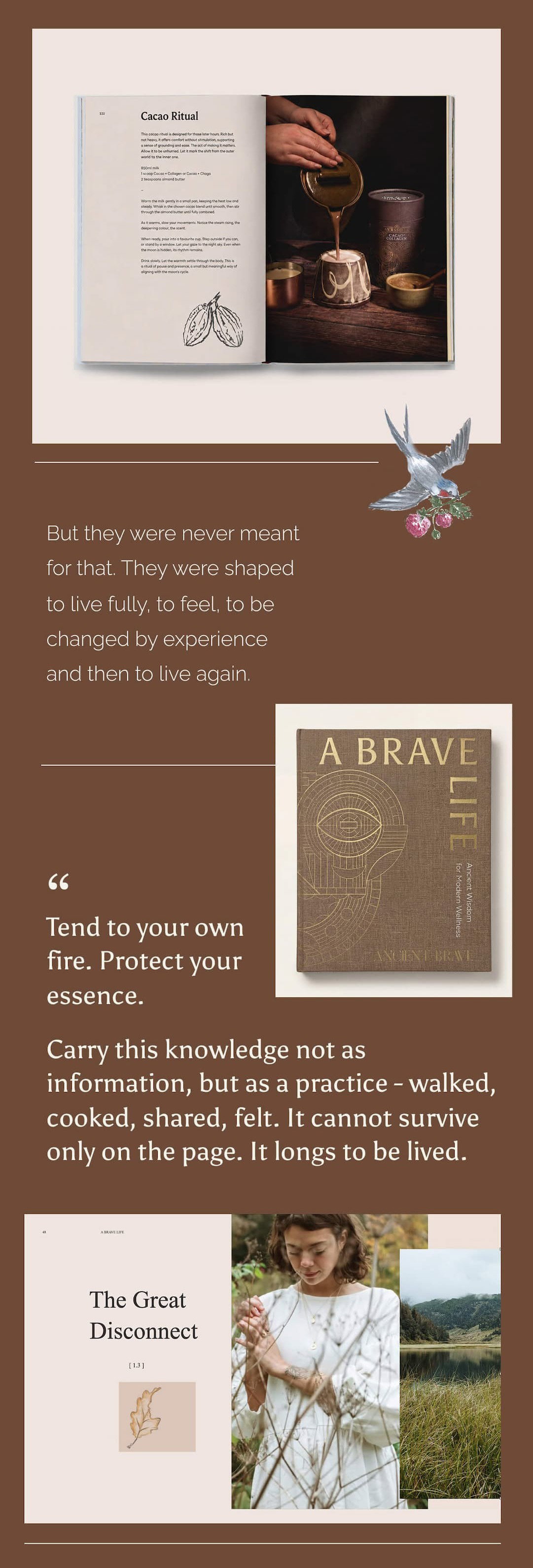 Previews of The Brave book with the quote "Tend to your own fire. Protect your essence. Carry this knowledge not as information, but as a practice - walked, cooked, shared, felt. It cannot survive only on the page. It longs to be lived."