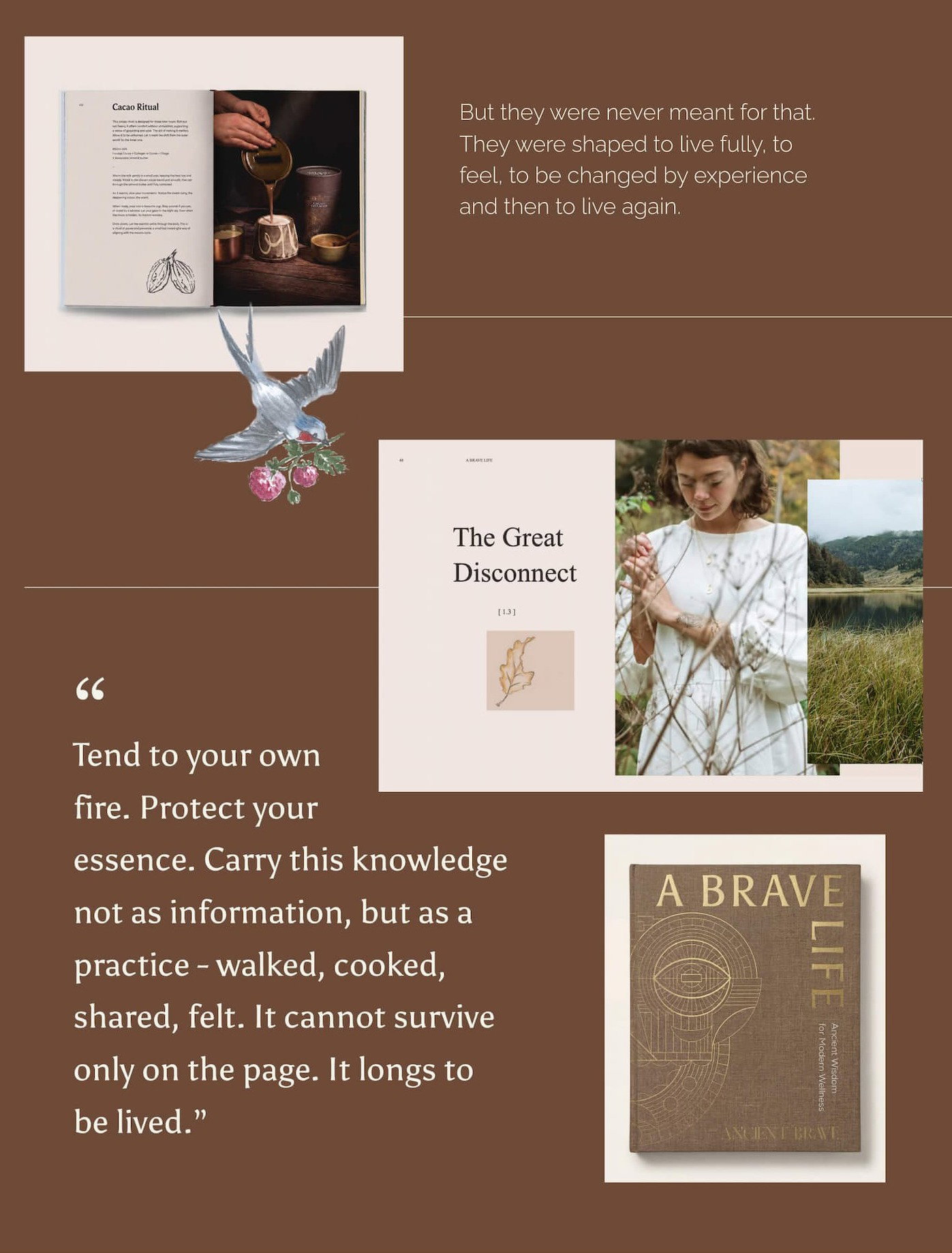 Previews of The Brave book with the quote "Tend to your own fire. Protect your essence. Carry this knowledge not as information, but as a practice - walked, cooked, shared, felt. It cannot survive only on the page. It longs to be lived."