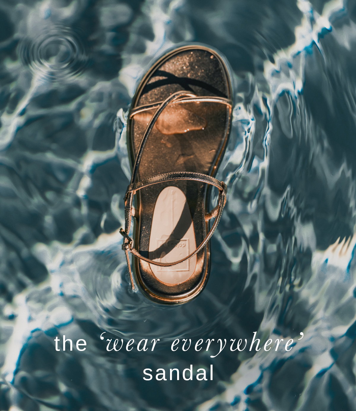 SHOP DOM