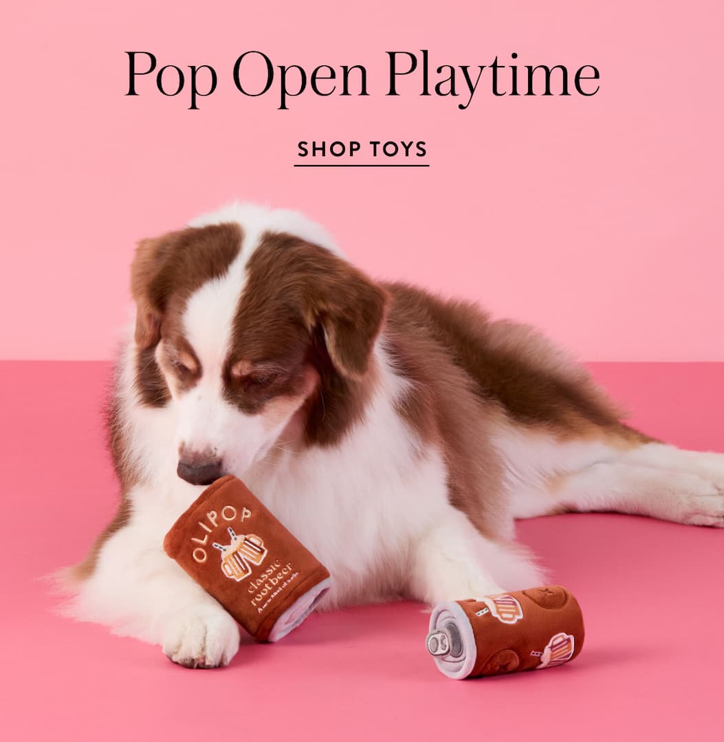 Shop toys