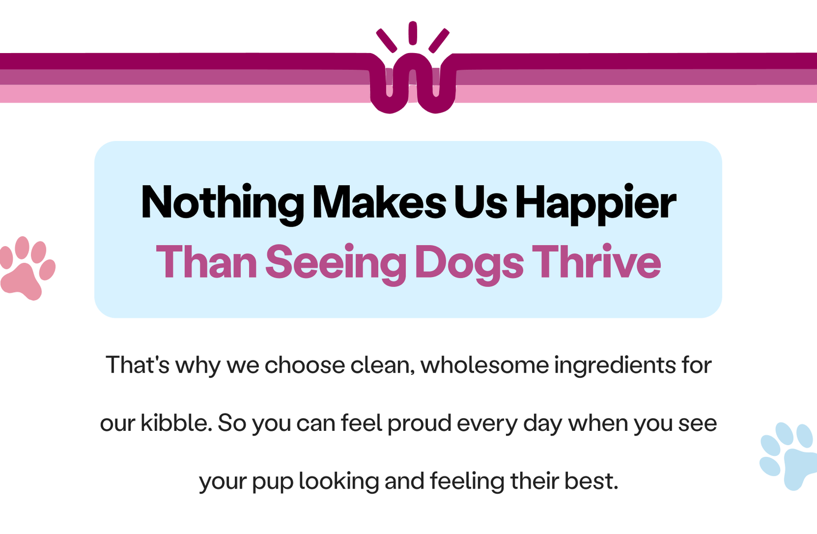 Nothing Makes Us Happier Than Seeing Dogs Thrive 