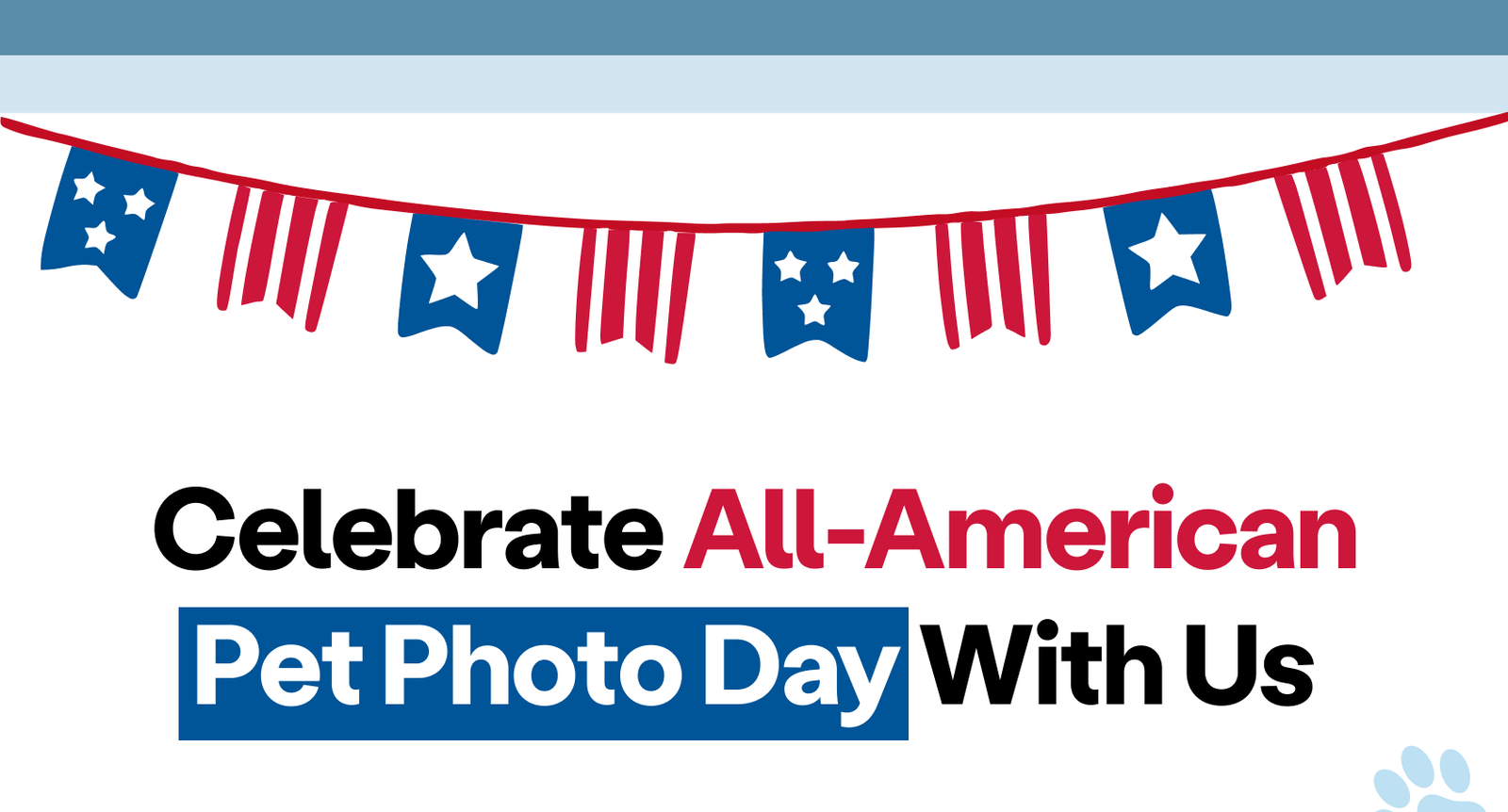 Celebrate All-American Pet Photo Day with Us