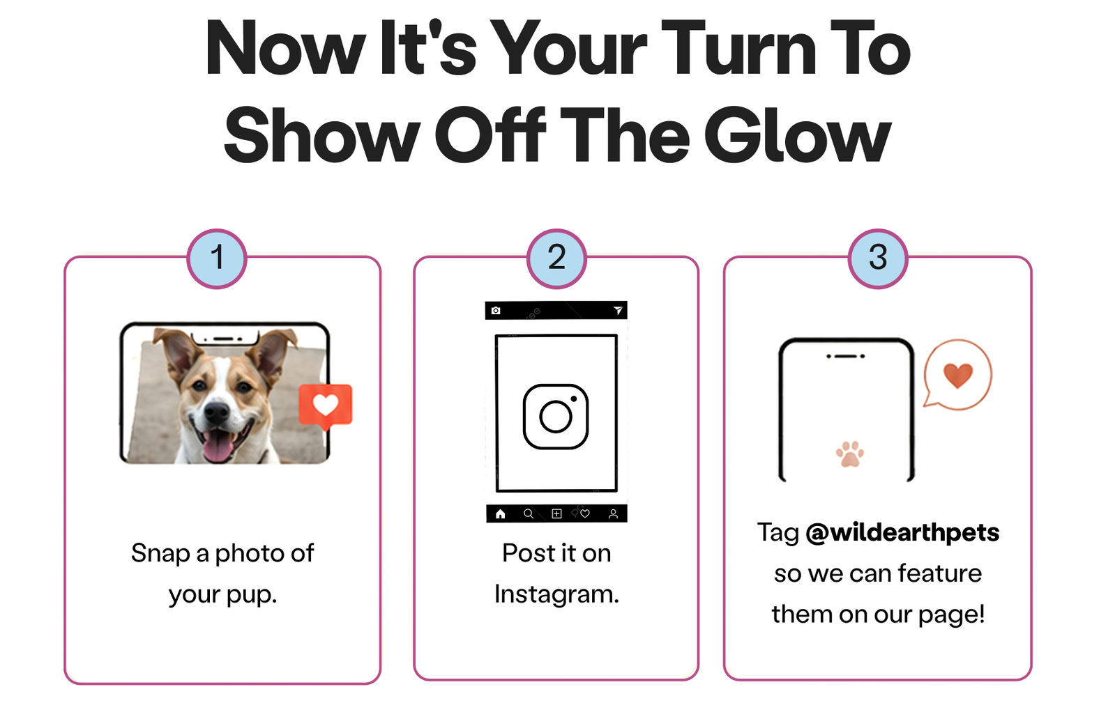 Snap a photo of your pup.  Post it on Instagram.  Tag @wildearthpets so we can feature them on our page