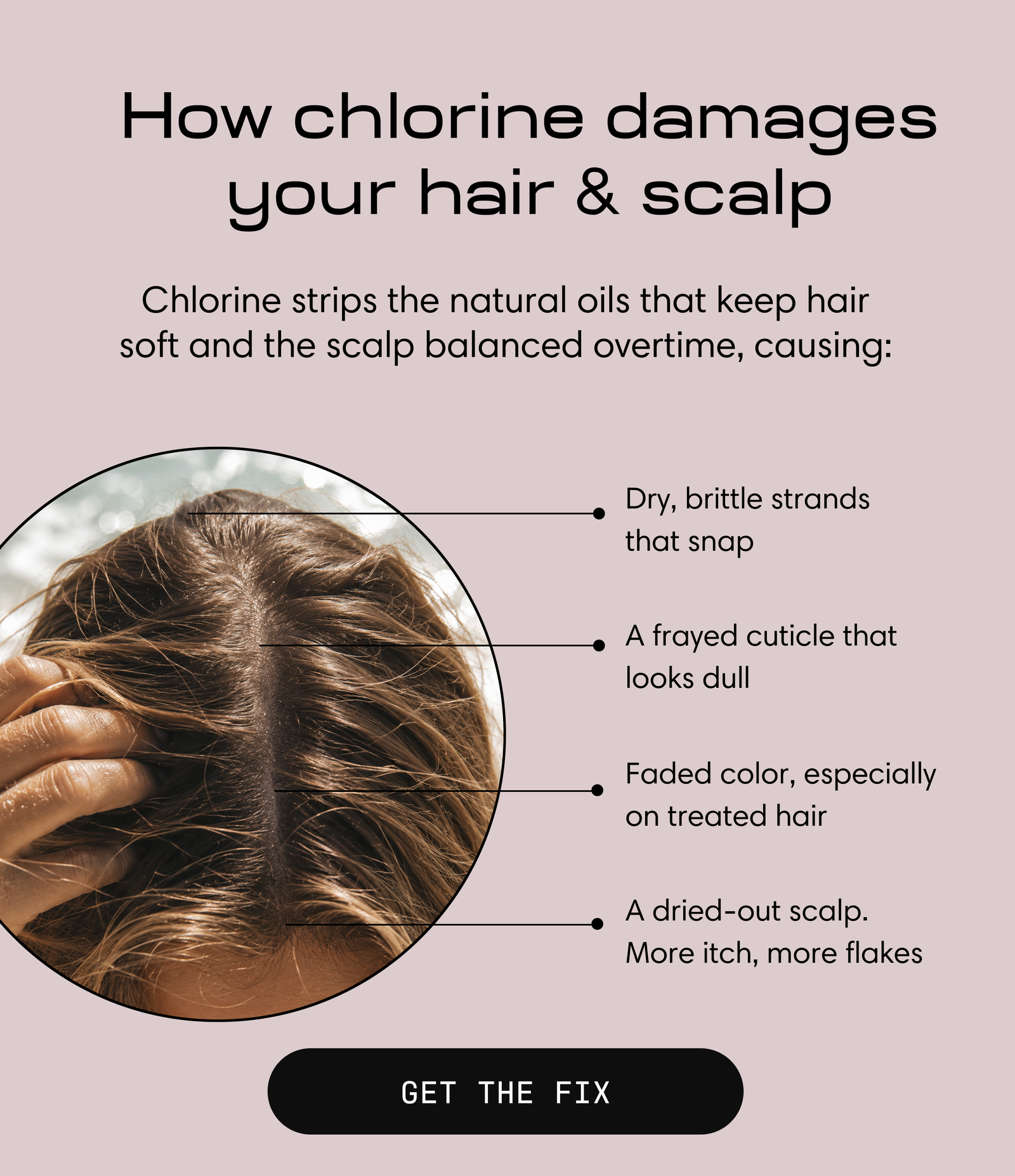 Close-up of a hand parting dry, dull hair to show the scalp. Headline: How chlorine damages your hair and scalp. Chlorine strips the natural oils that keep hair soft and the scalp balanced over time, causing dry, brittle strands that snap, a frayed cuticle that looks dull, faded color especially on treated hair, and a dried-out, itchier, flakier scalp. Button: Get the Fix.