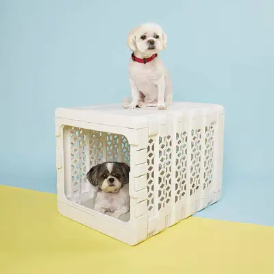 Image of PAWD®  Modern Collapsible Dog Crate