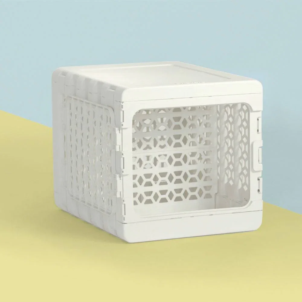 Image of Medium PAWD divider