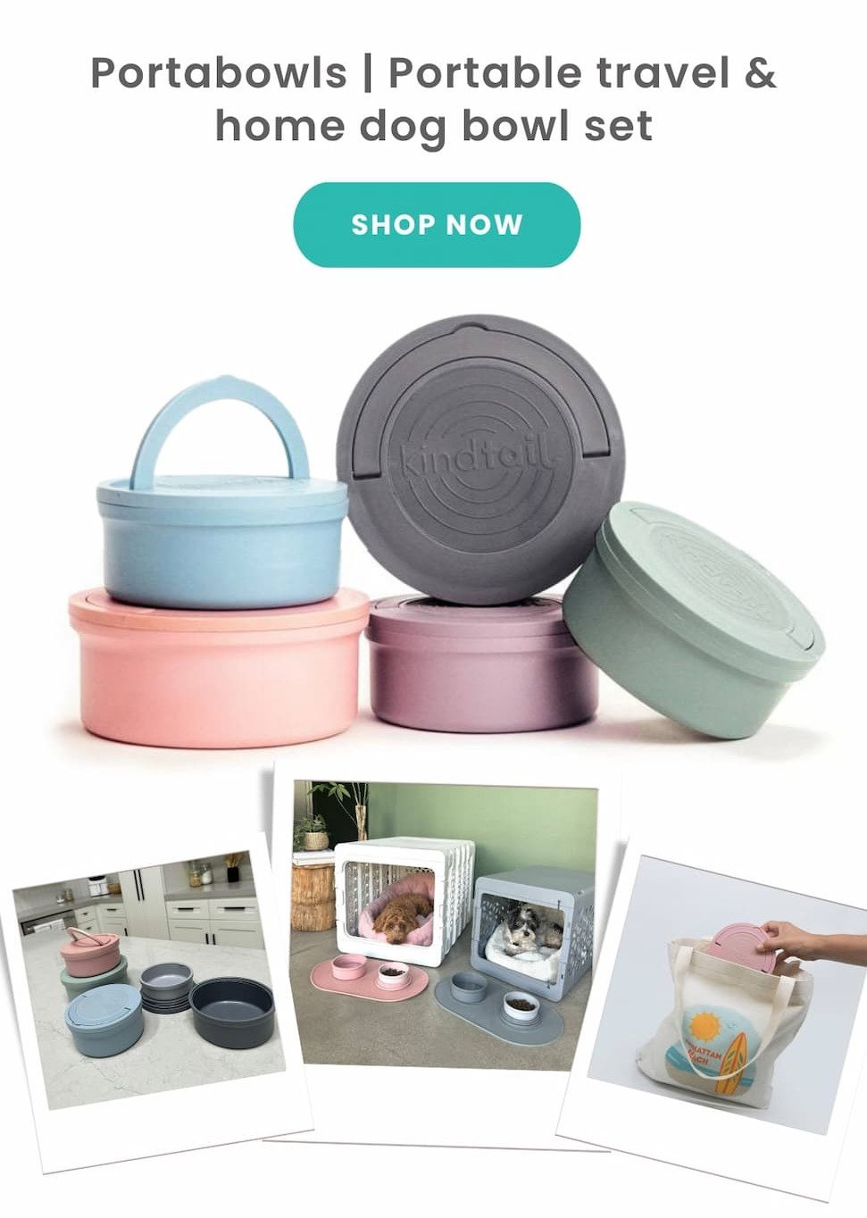 Portabowls | Portable travel & home dog bowl set
