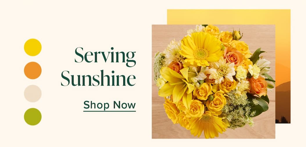 Serving Sunshine. Shop Now