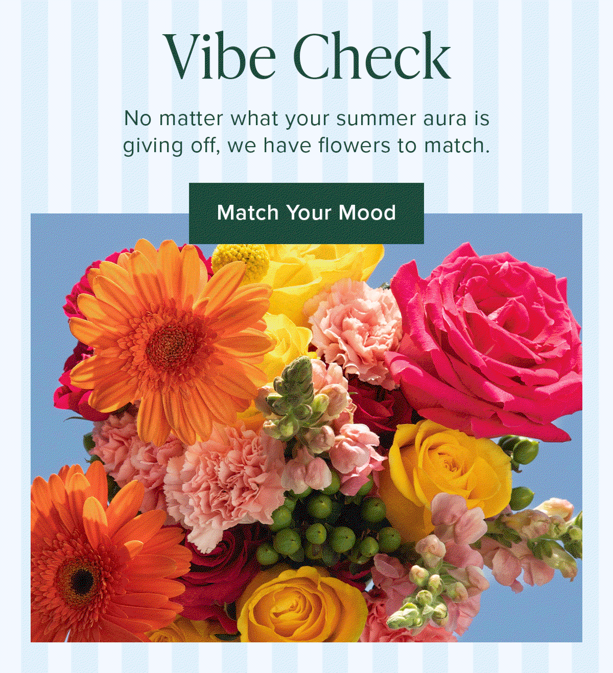 Vibe Check. No matter what your summer aura is giving off, we have flowers to match. Match Your Mood