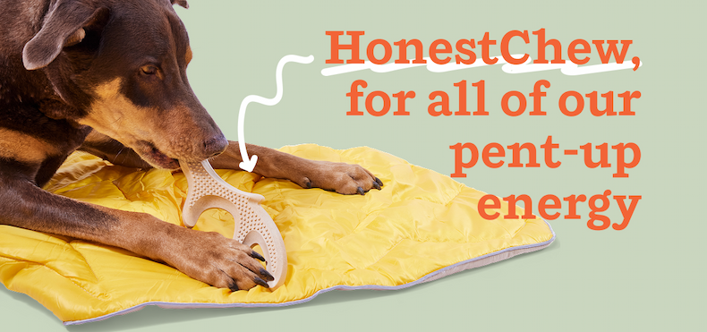 Shop HonestChew