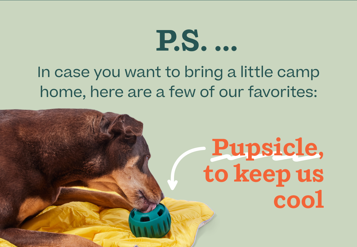 Shop Pupsicle