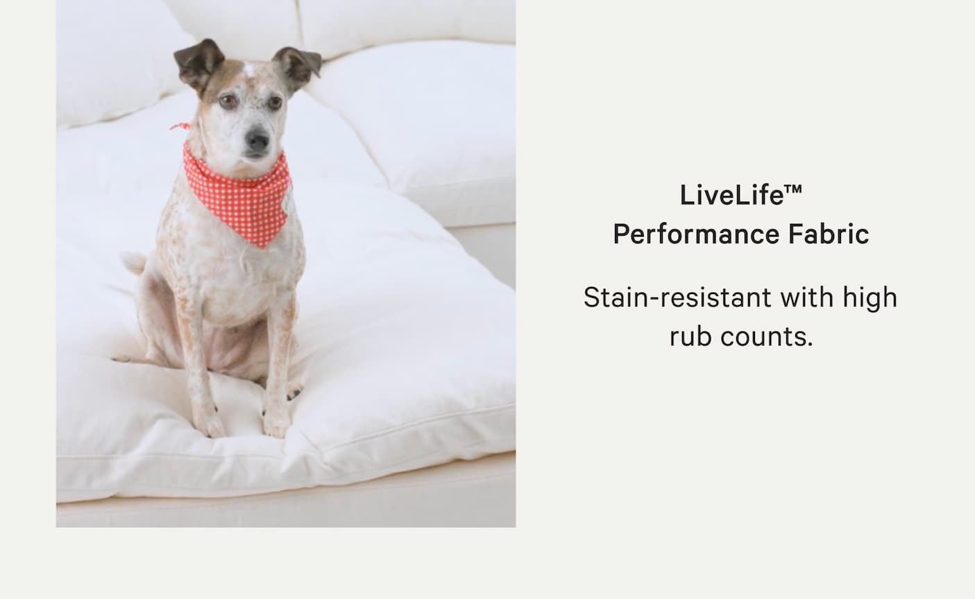 LiveLife Performance Fabric