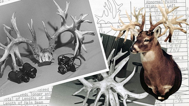 The 5  Biggest Non-Typical Bucks Ever ‘Picked Up’ in The Boone and Crockett Club