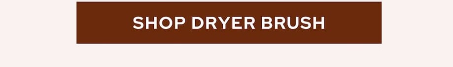 Dryer brush