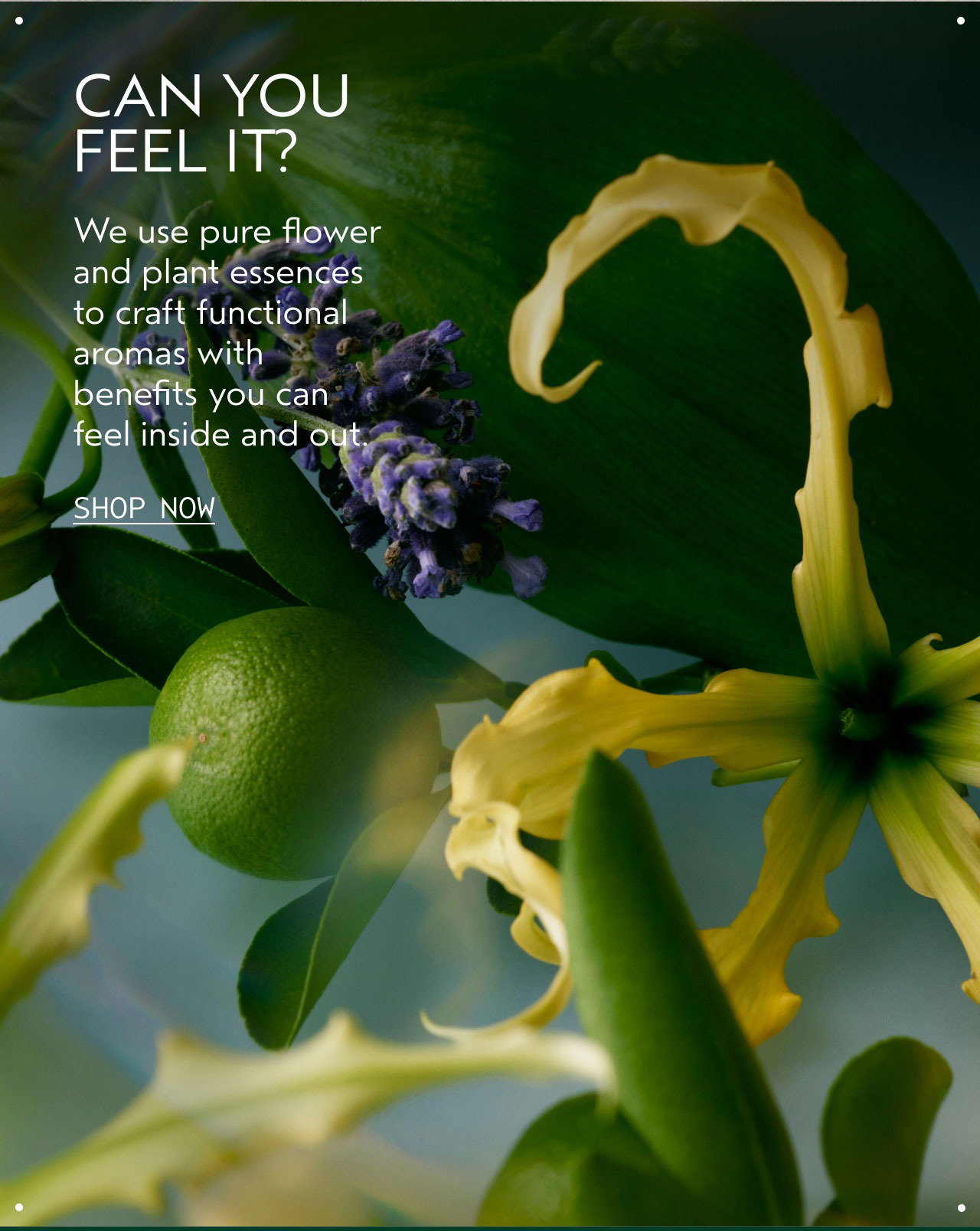 Can you feel it?