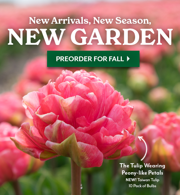 New Arrivals, New Season, NEW GARDEN