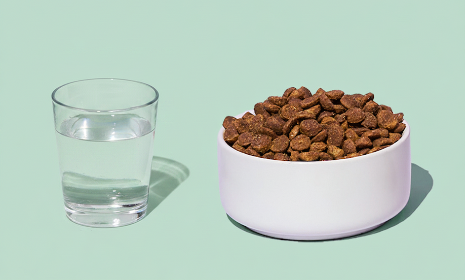 A glass of water and a bowl of dry dog food