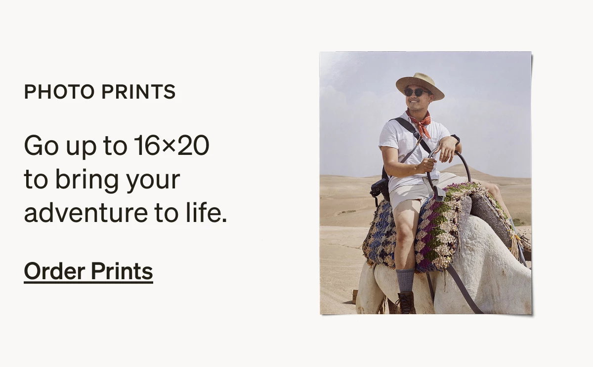 Free Shipping (No Minimum) + Up to 50% Off Almost Everything